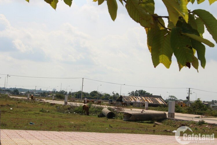 Cận cảnh những dự án đất nền “đình đám” ở Đồng Nai