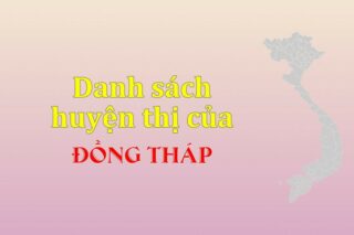 Danh sách các huyện của tỉnh Đồng Tháp (update 2024)