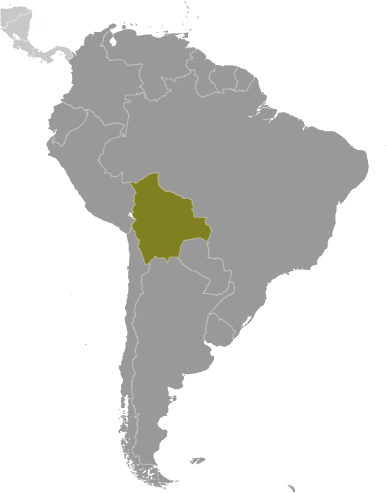 Bản đồ vị trí của Bolivia