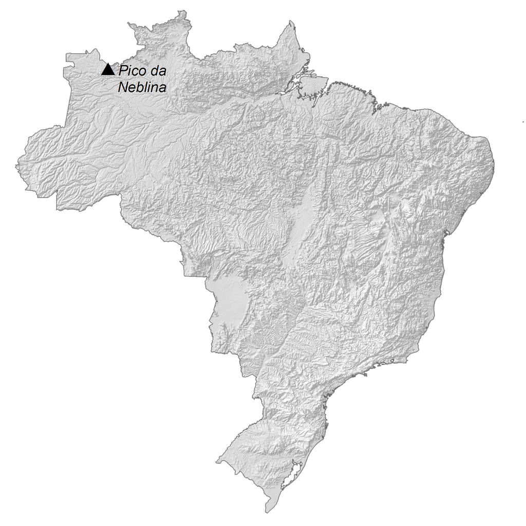 Bản đồ độ cao Brazil