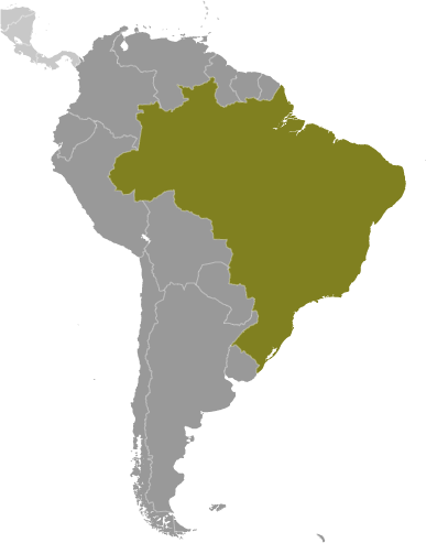 Bản đồ vị trí của Brazil