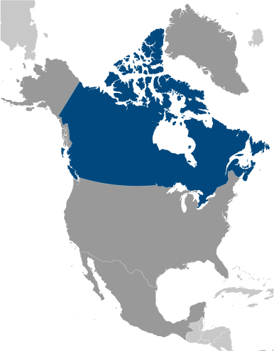 Bản đồ vị trí của Canada