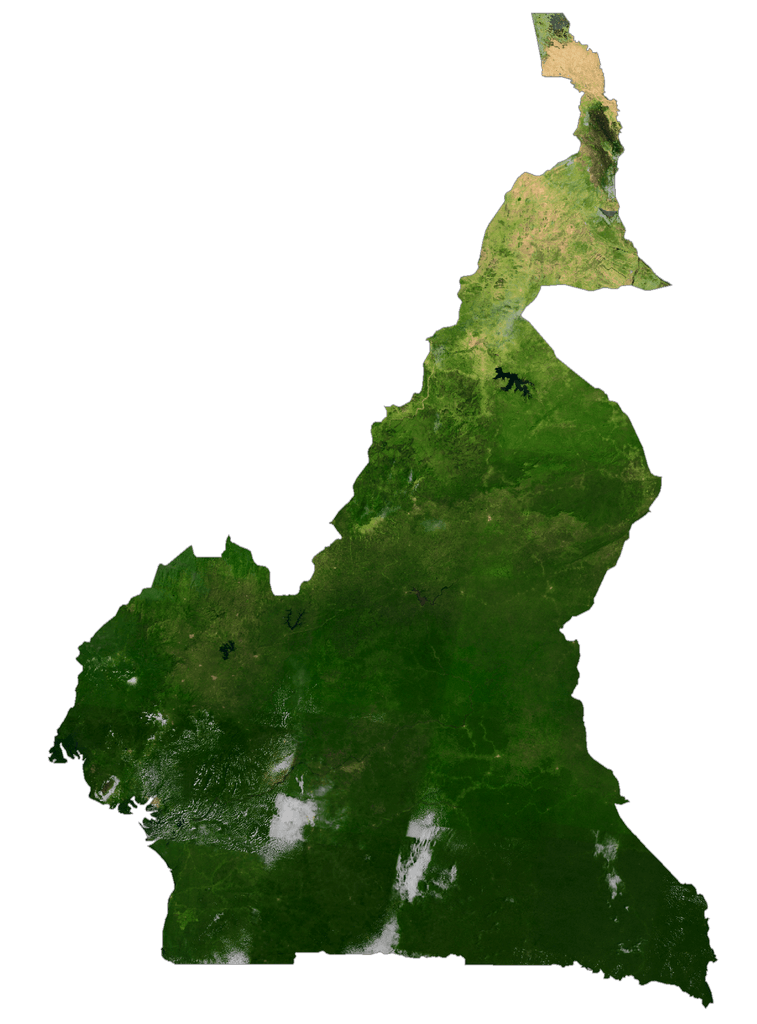 Bản đồ vệ tinh Cameroon