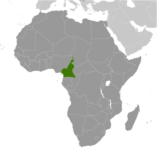 Bản đồ vị trí của Cameroon
