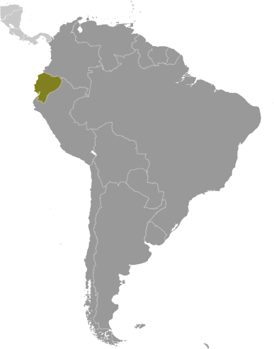 Bản đồ vị trí của Ecuador