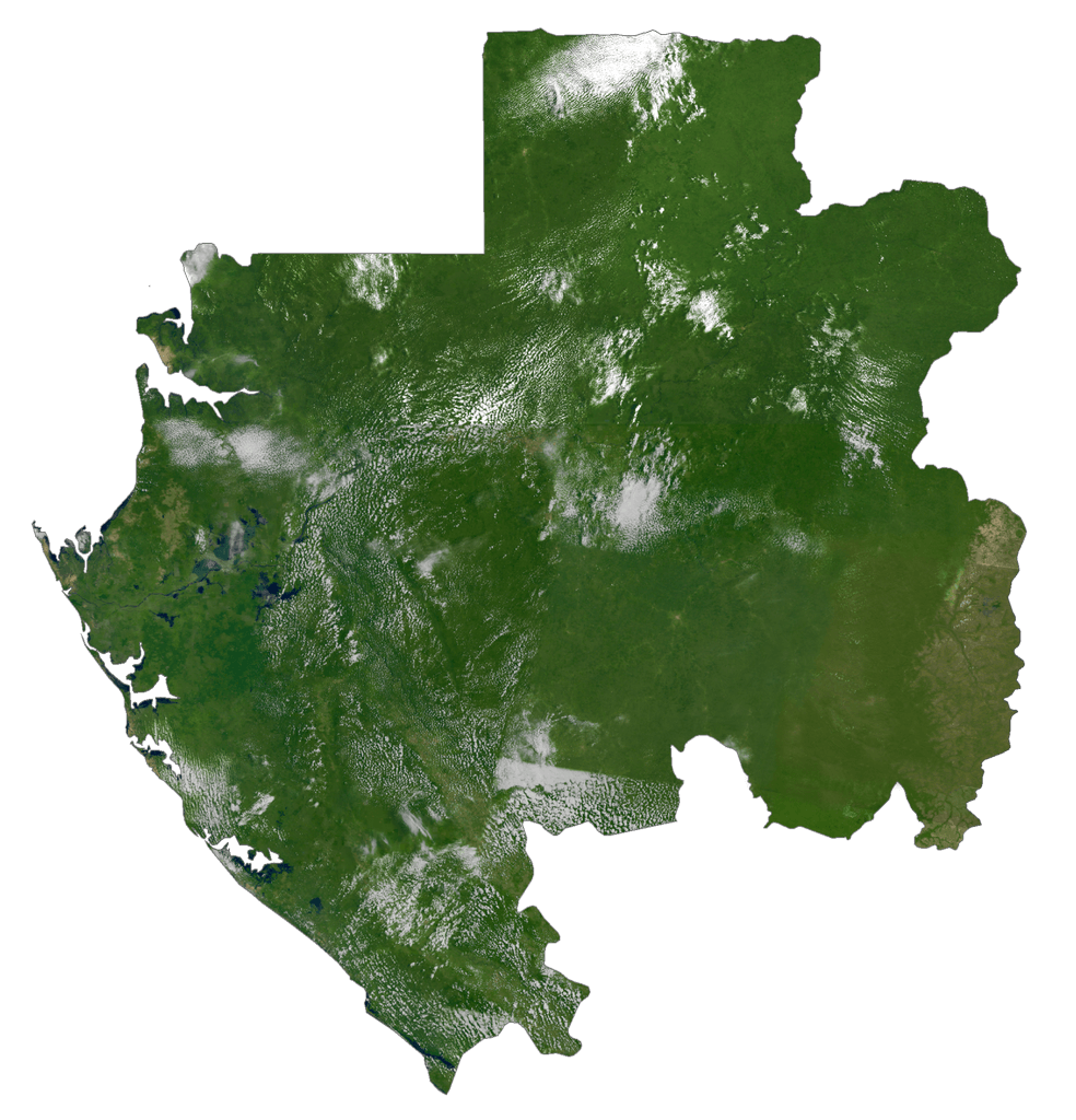 Gabon Bản đồ vệ tinh