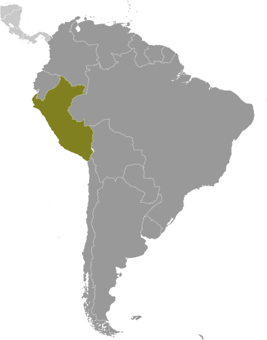 Bản đồ vị trí của Peru