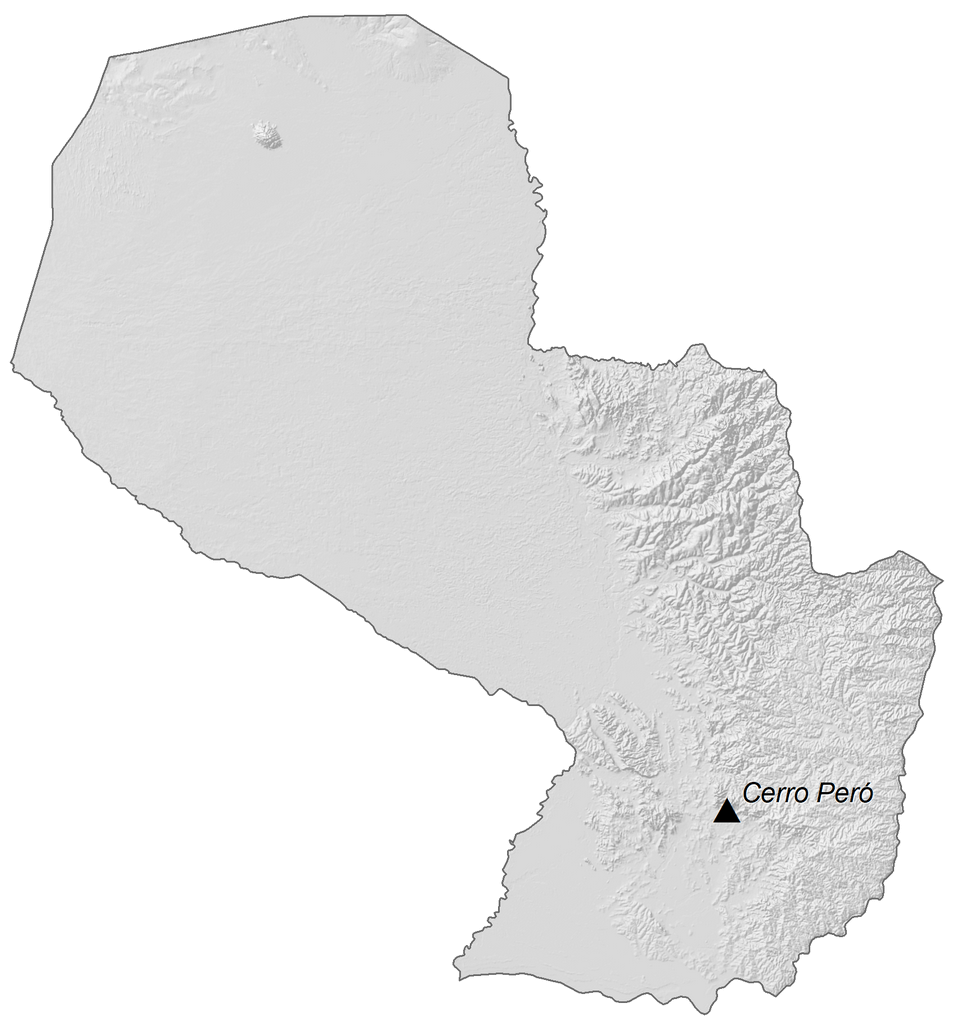 Bản đồ độ cao Paraguay
