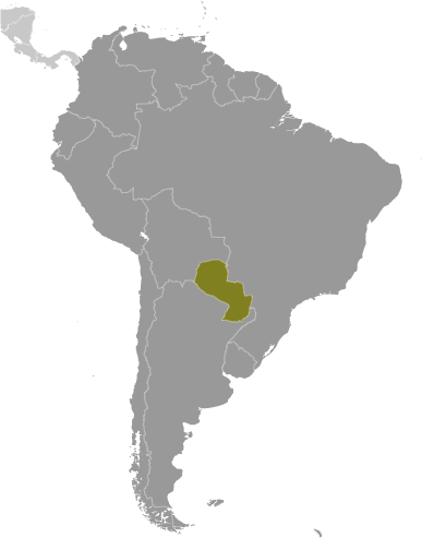 Bản đồ vị trí của Paraguay
