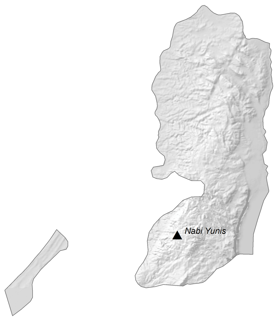 State of Palestine Elevation Map