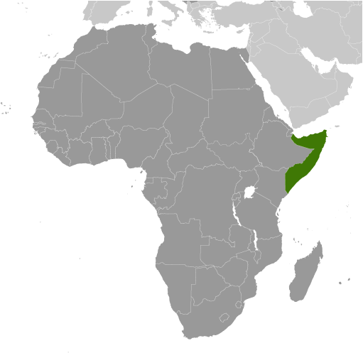 Bản đồ vị trí của Somalia