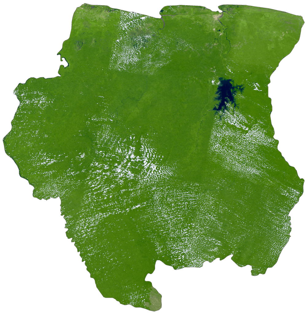 Suriname Satellite Map