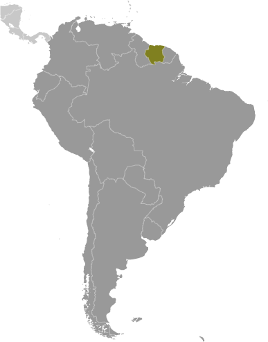 Bản đồ vị trí của Suriname