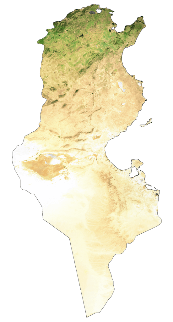 Bản đồ vệ tinh Tunisia