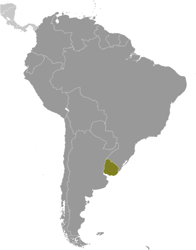 Bản đồ vị trí của Uruguay