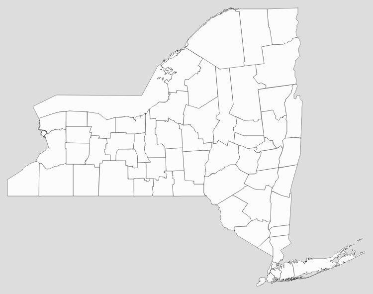Blank New York County Map