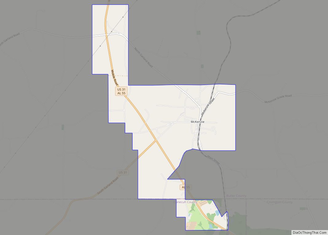 Map of McKenzie town