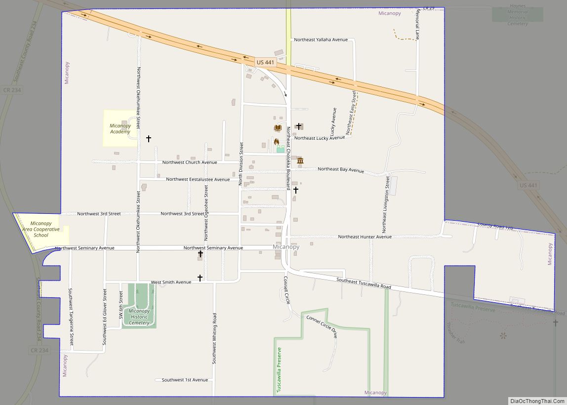Map of Micanopy town