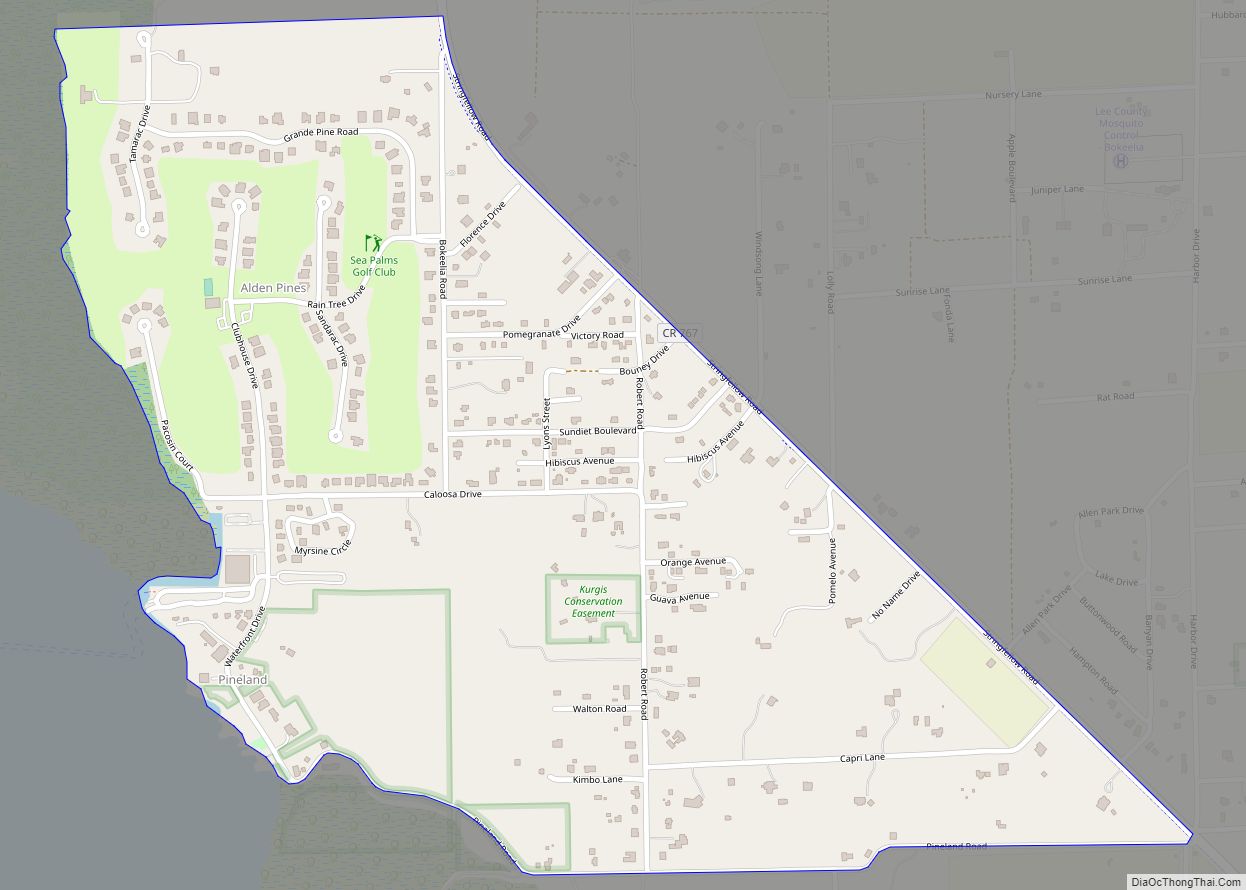 Map of Pineland CDP