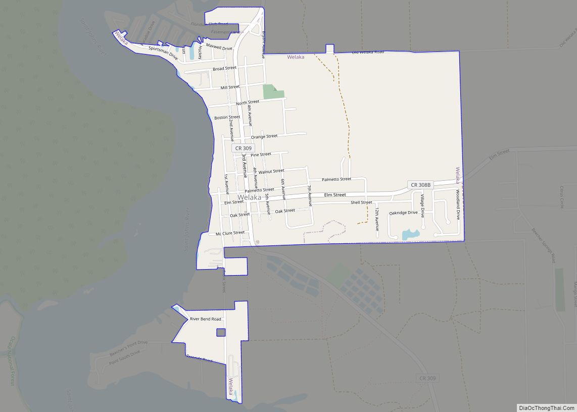 Map of Welaka town