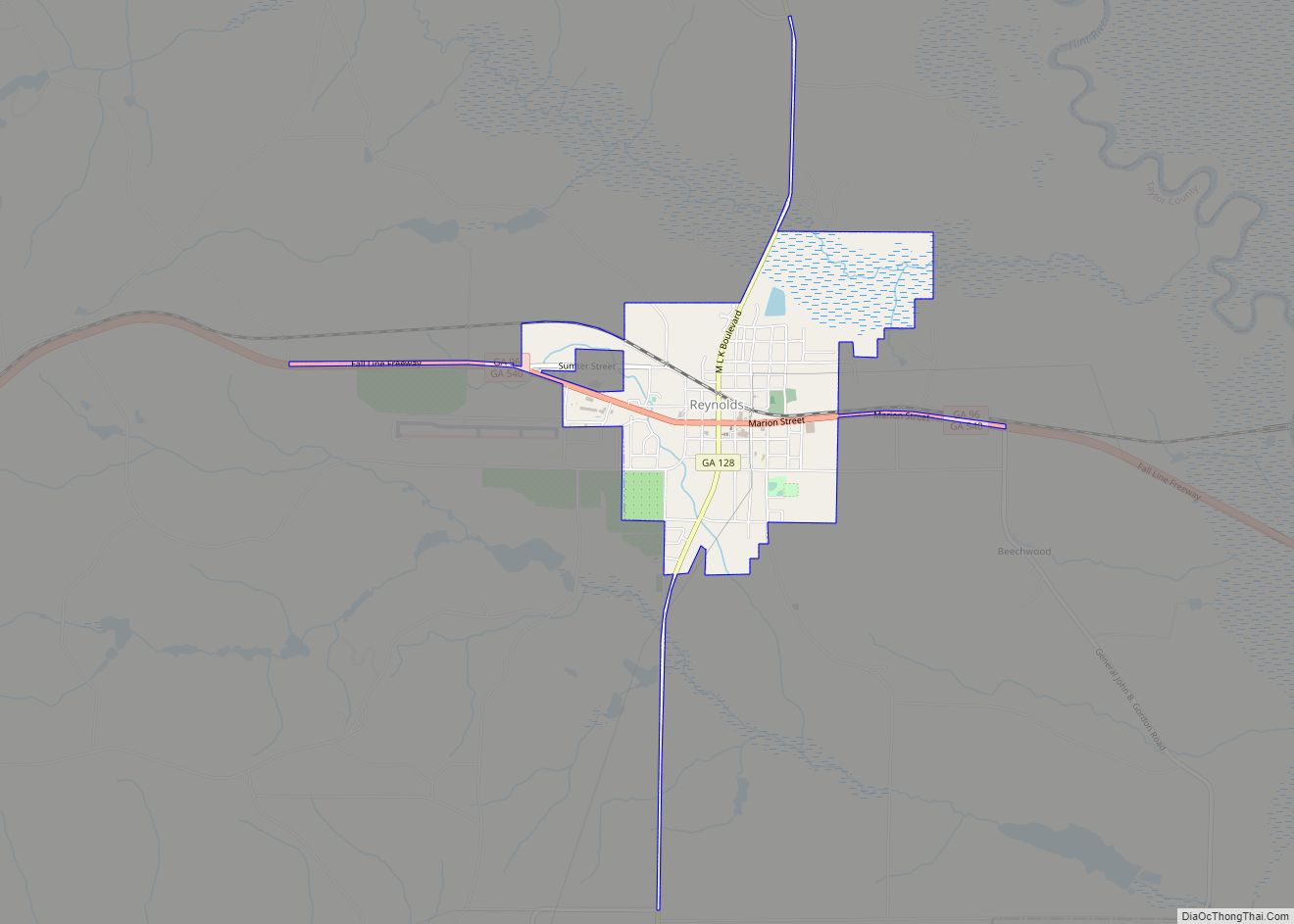 Map of Reynolds city, Georgia