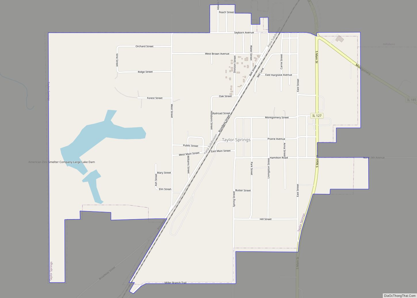 Map of Taylor Springs village