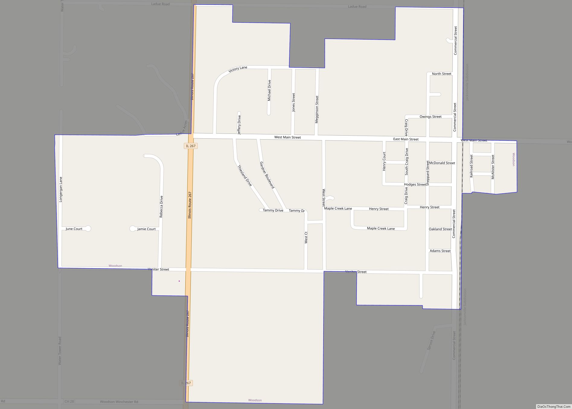 Map of Woodson village, Illinois