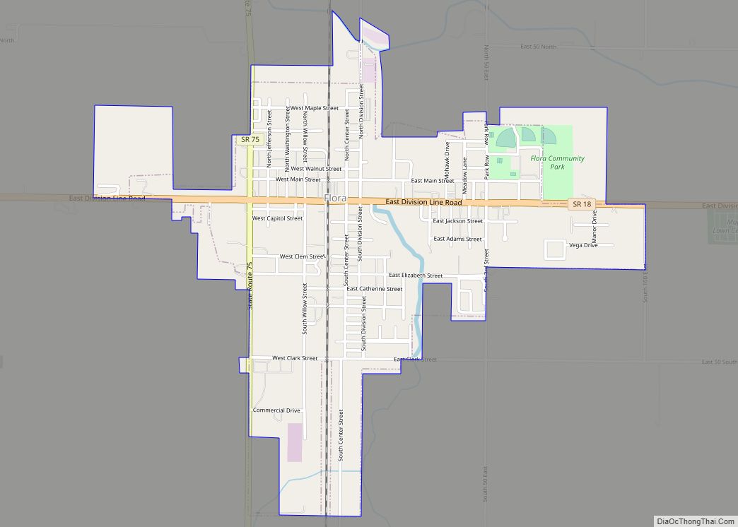 Map of Flora town, Indiana