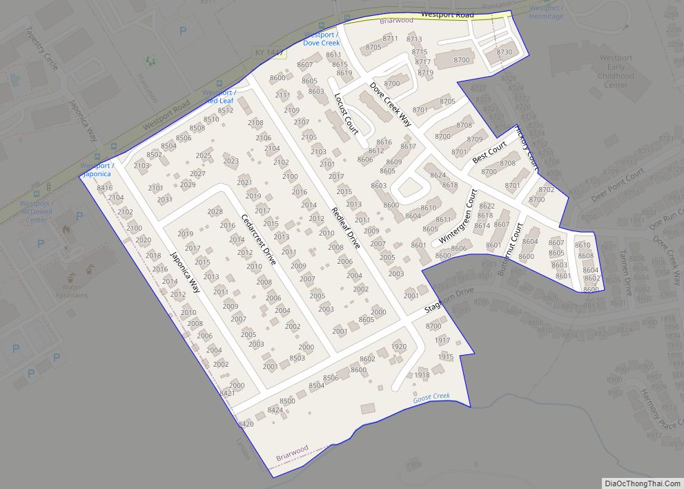 Map of Briarwood city
