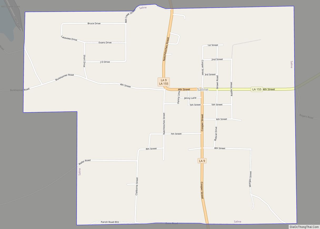 Map of Saline village, Louisiana