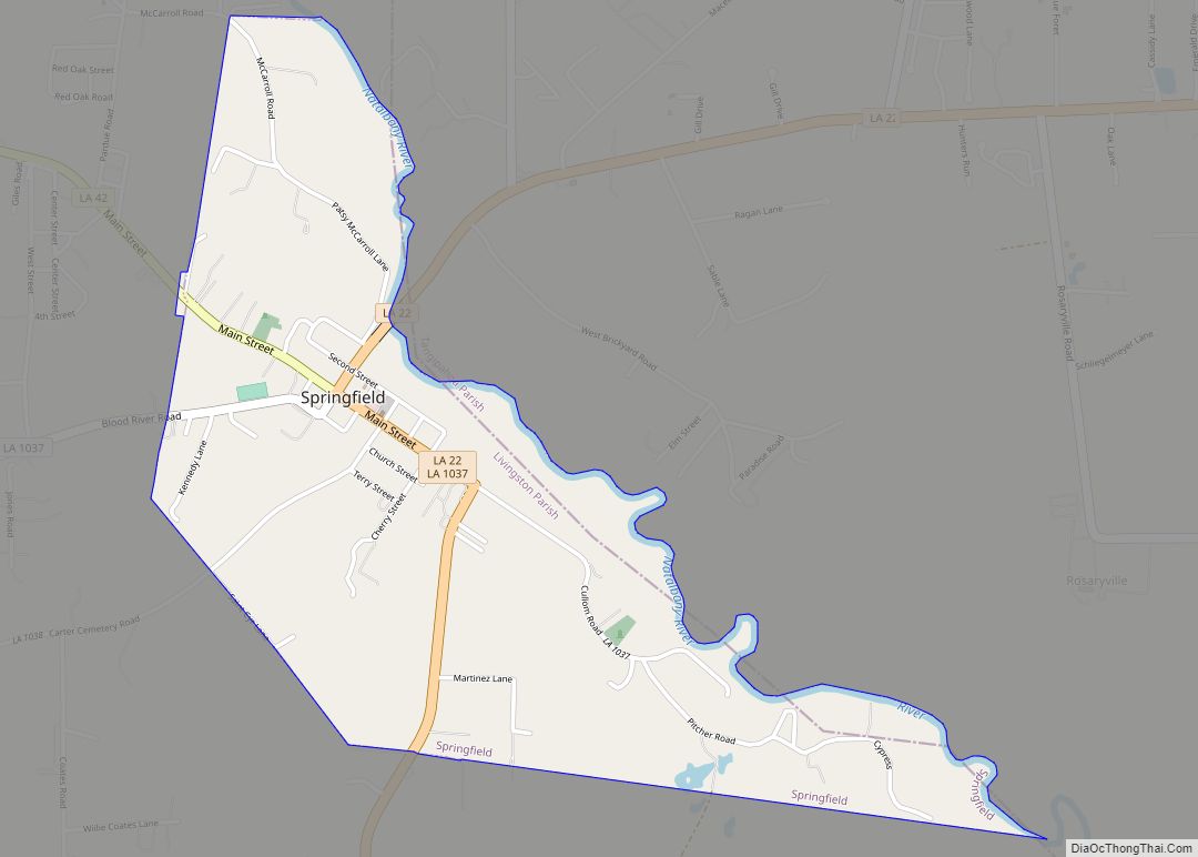 Map of Springfield town, Louisiana