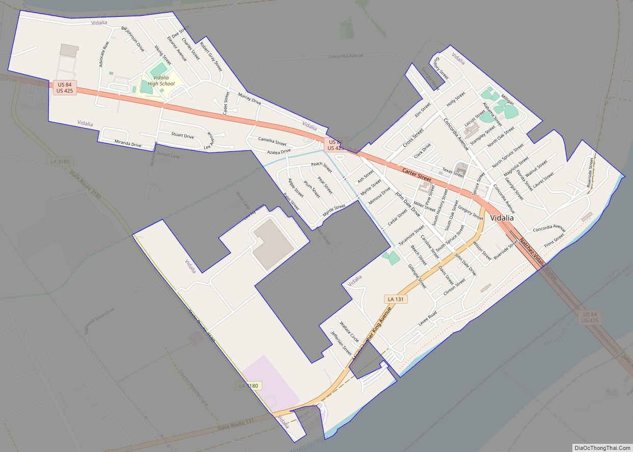 Map of Vidalia town, Louisiana