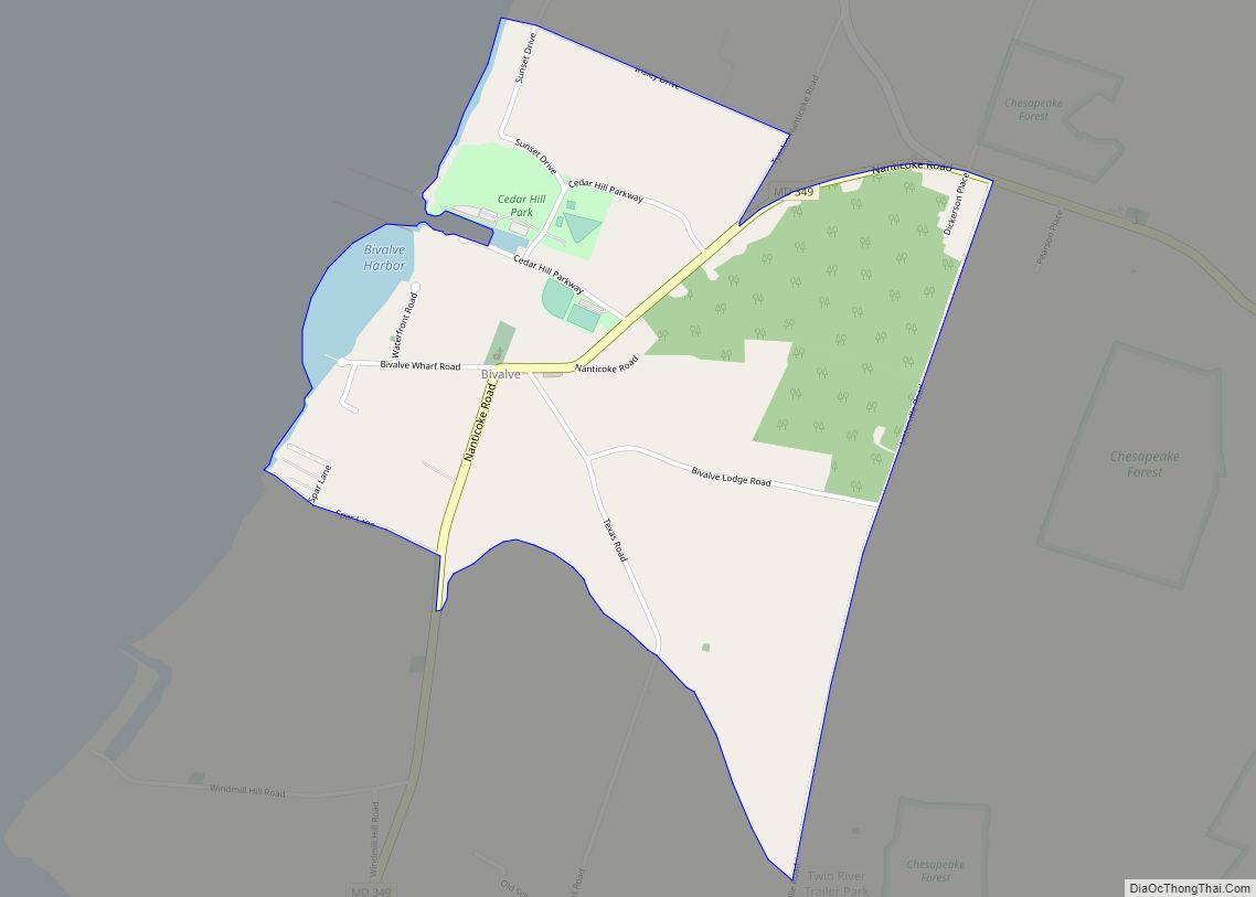 Map of Bivalve CDP