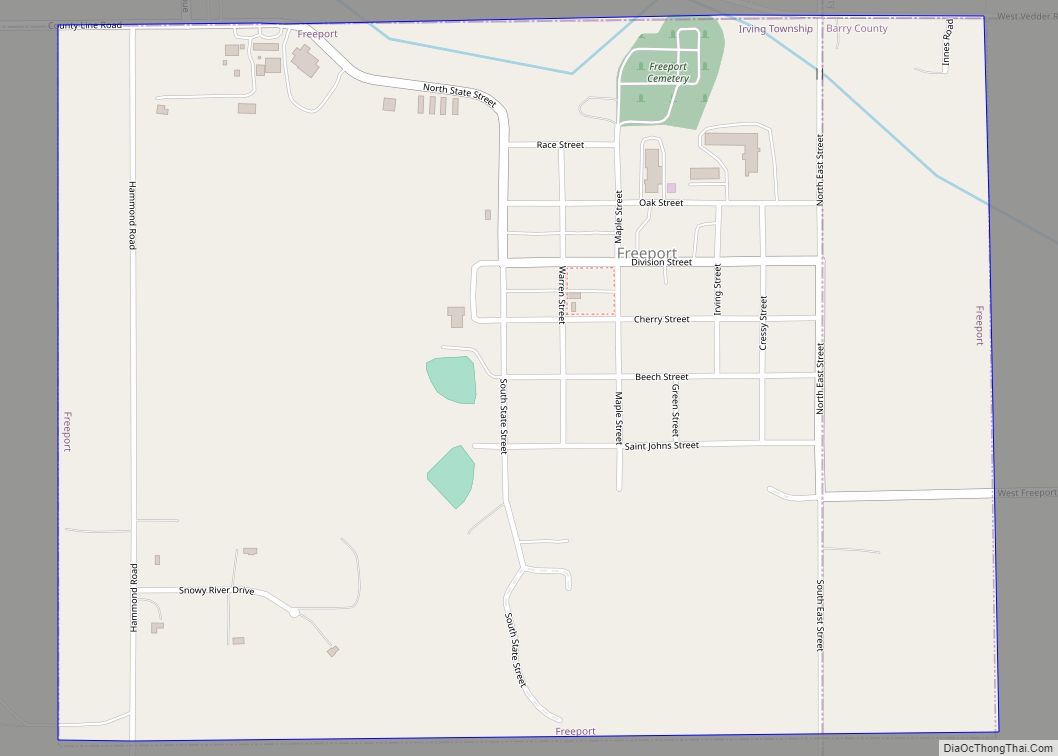 Map of Freeport village, Michigan
