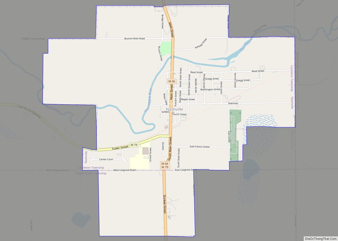 Map of Nashville village, Michigan
