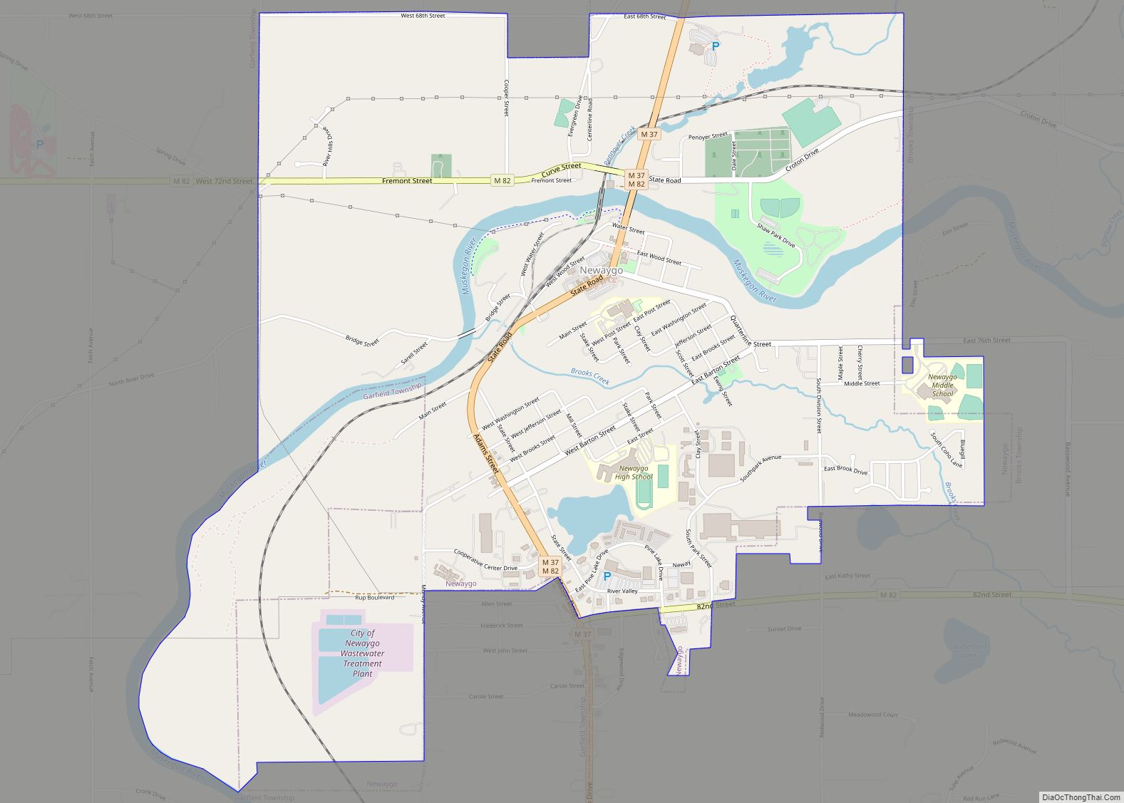 Map of Newaygo city