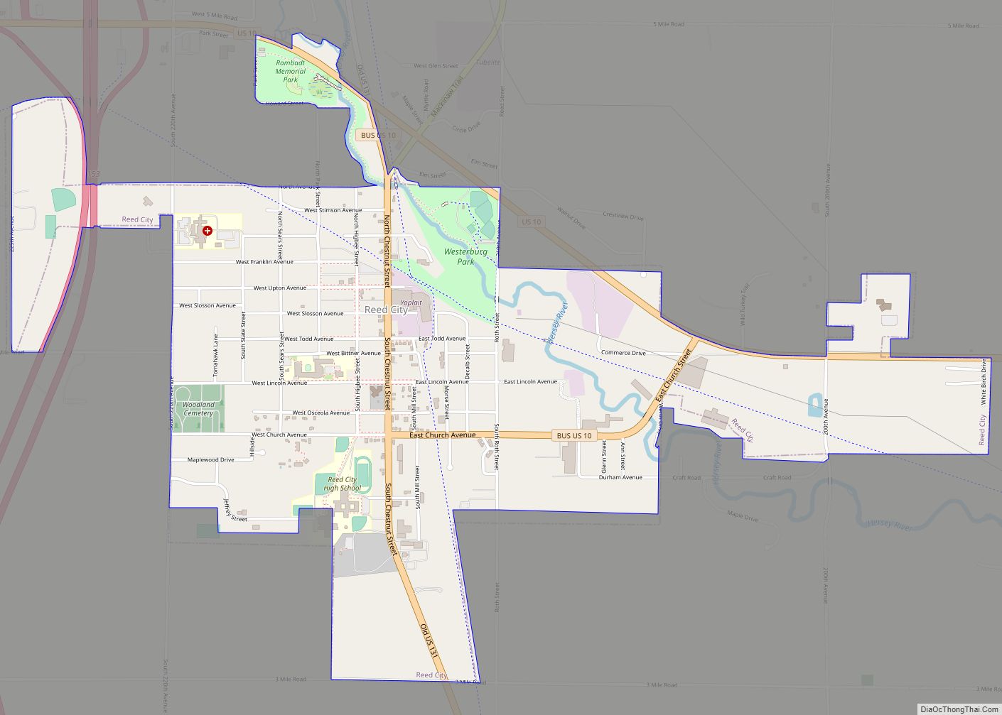 Map of Reed City city