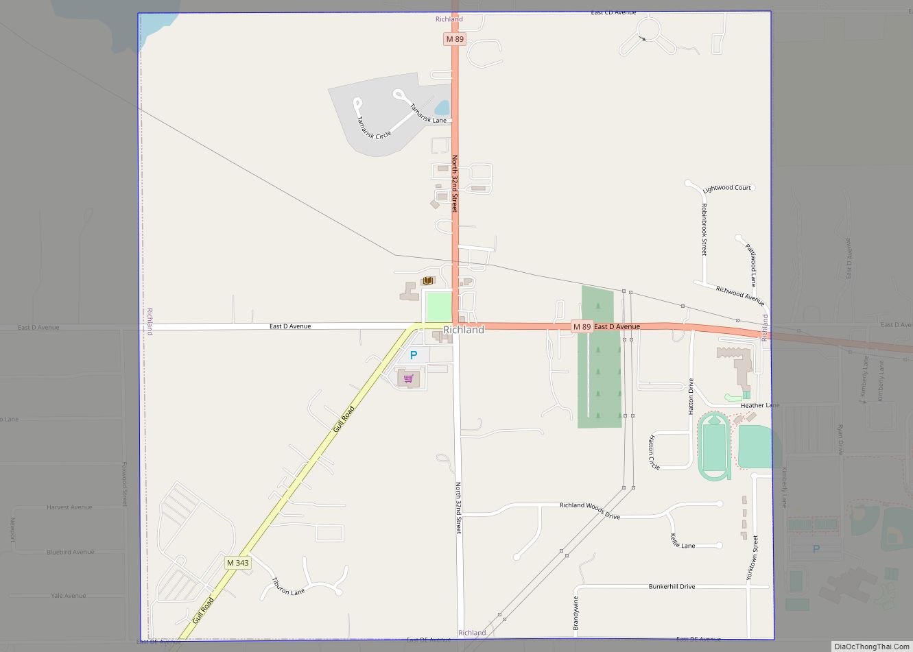 Map of Richland village, Michigan