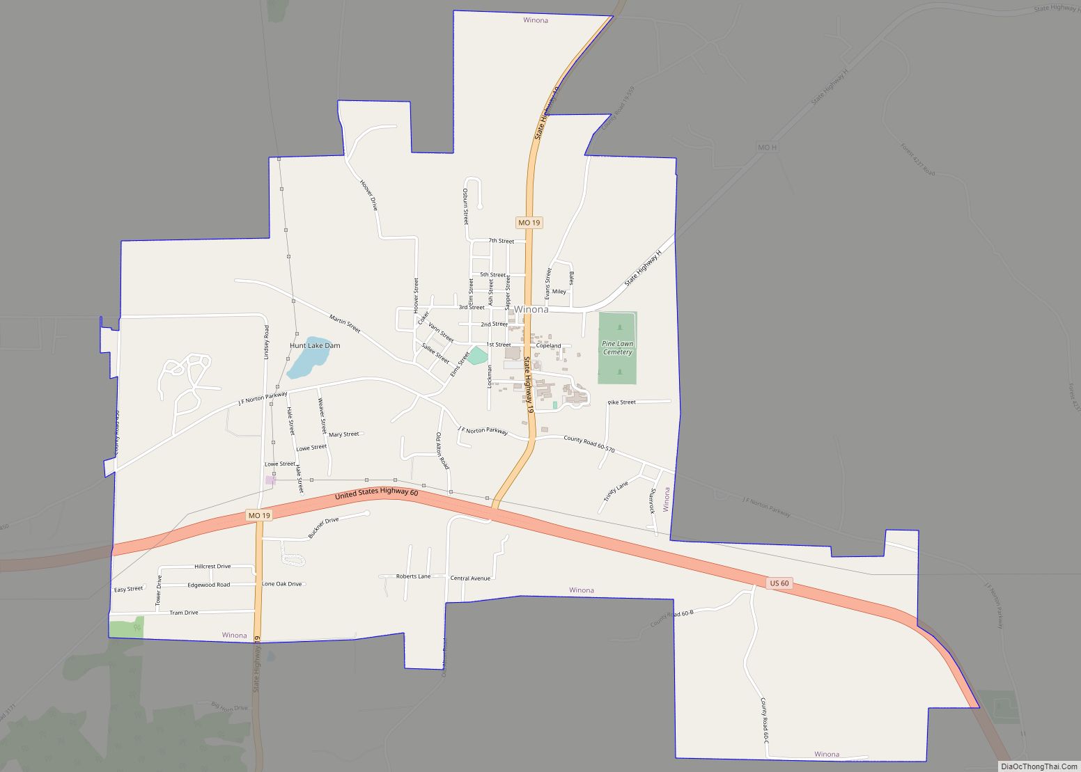 Map of Winona city, Missouri