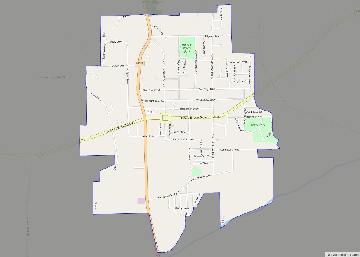 Map of Bruce town