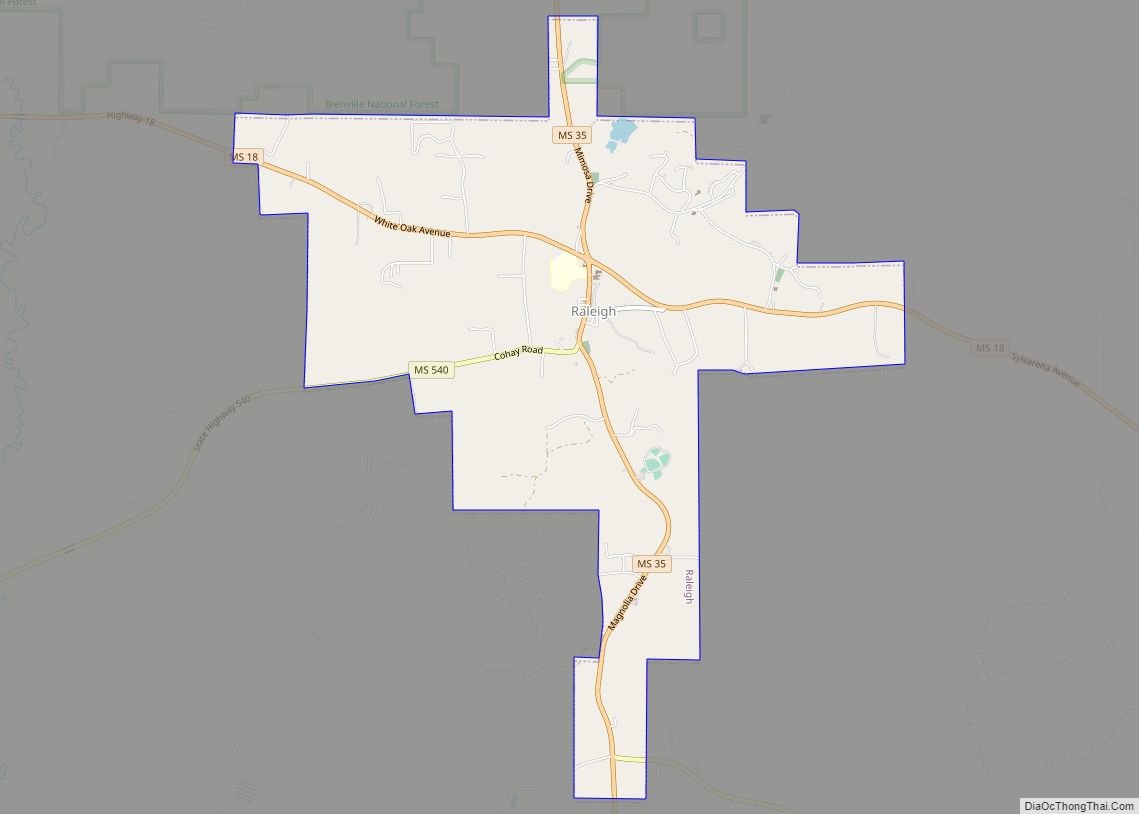 Map of Raleigh town, Mississippi