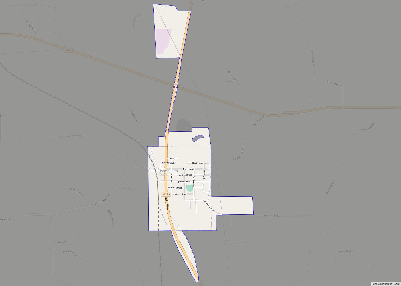 Map of Tishomingo town, Mississippi