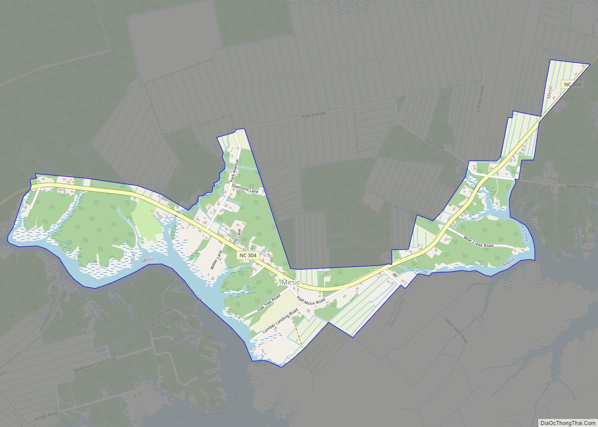 Map of Mesic town