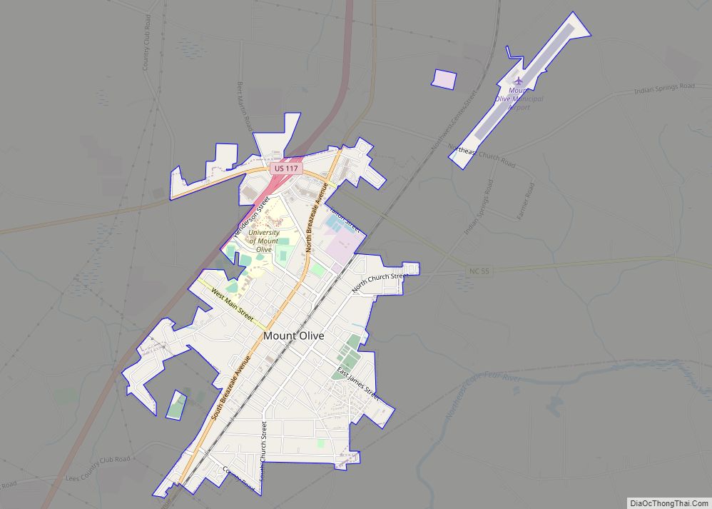 Map of Mount Olive town, North Carolina