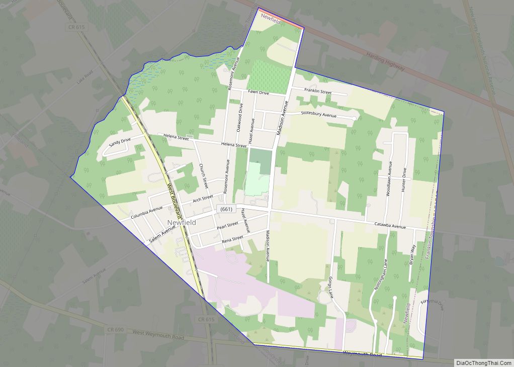 Map of Newfield borough