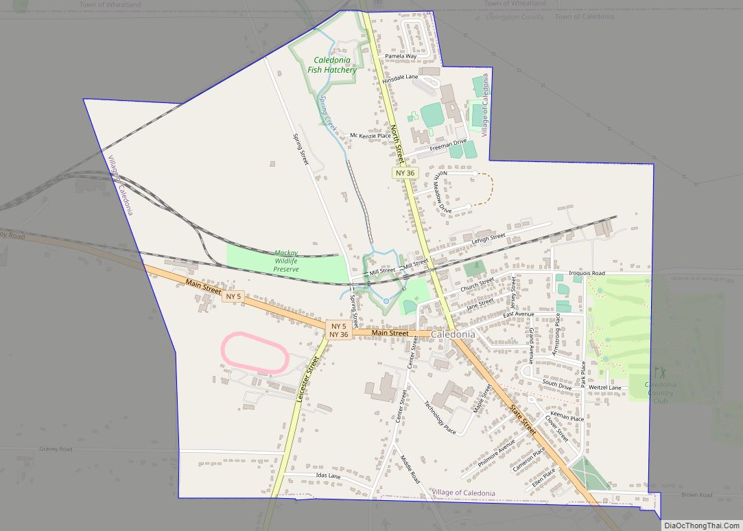 Map of Caledonia village, New York