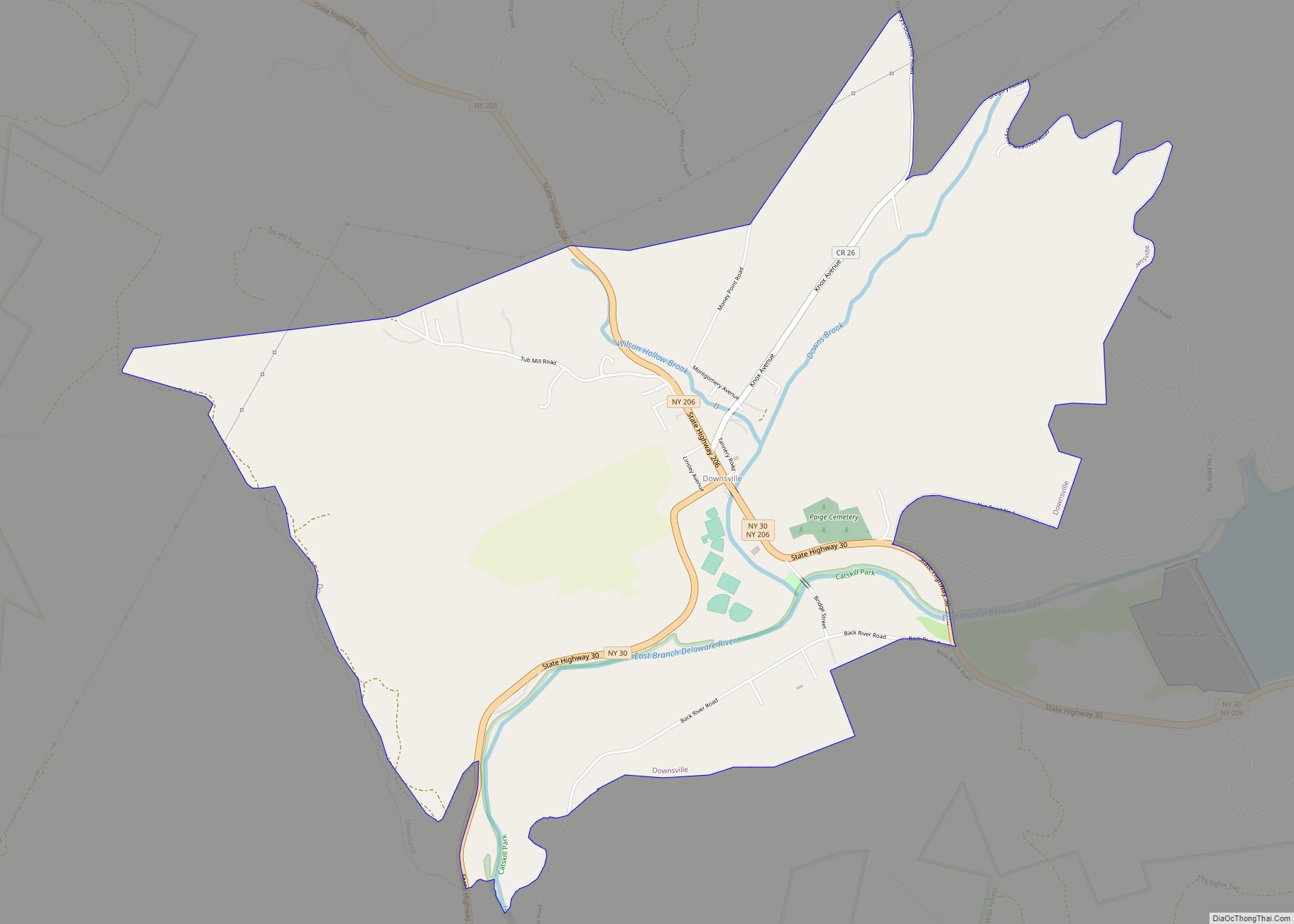 Map of Downsville CDP, New York