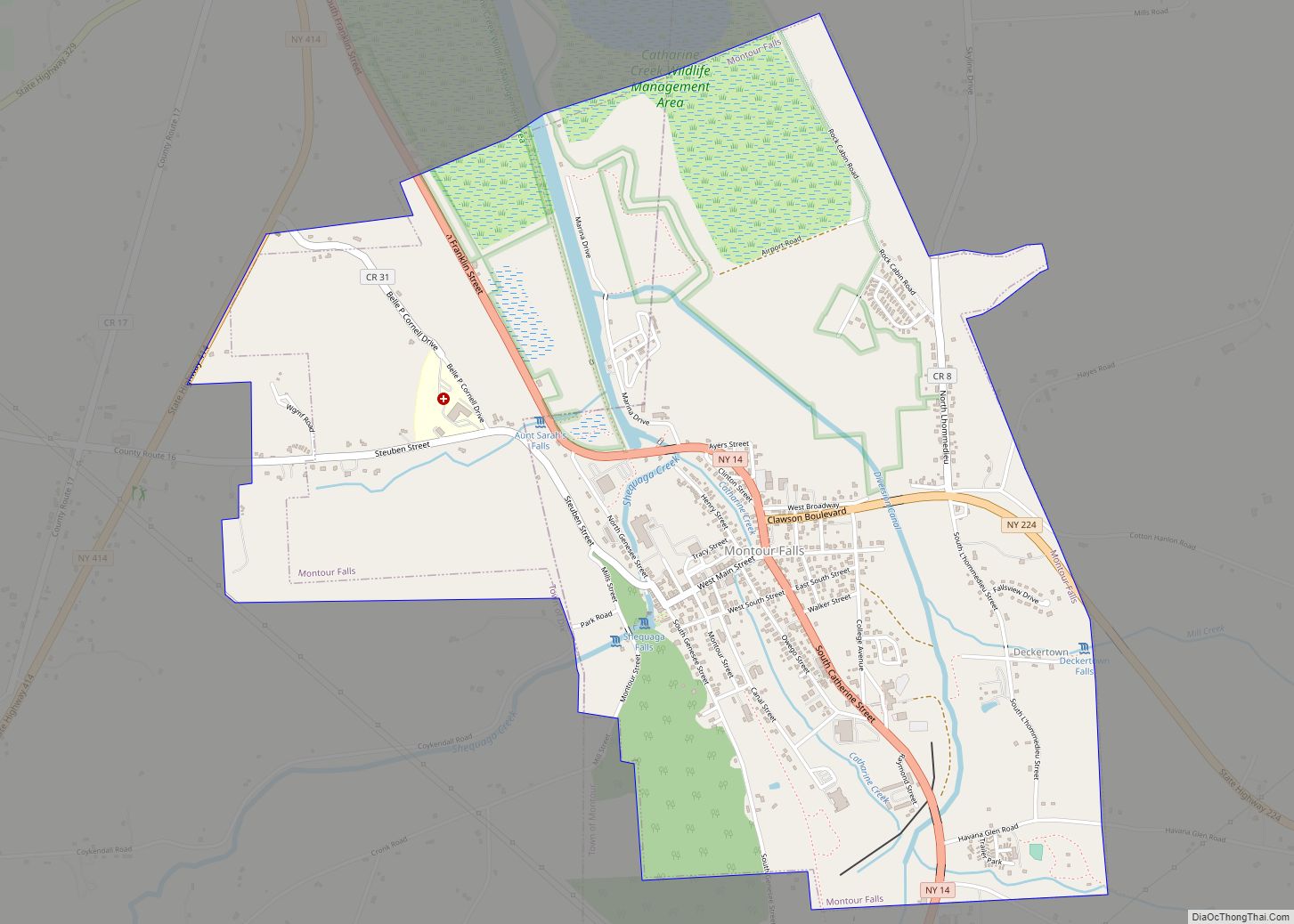 Map of Montour Falls village