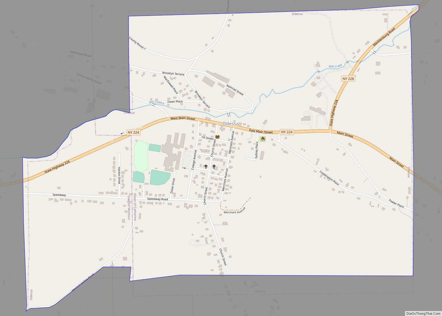 Map of Odessa village, New York