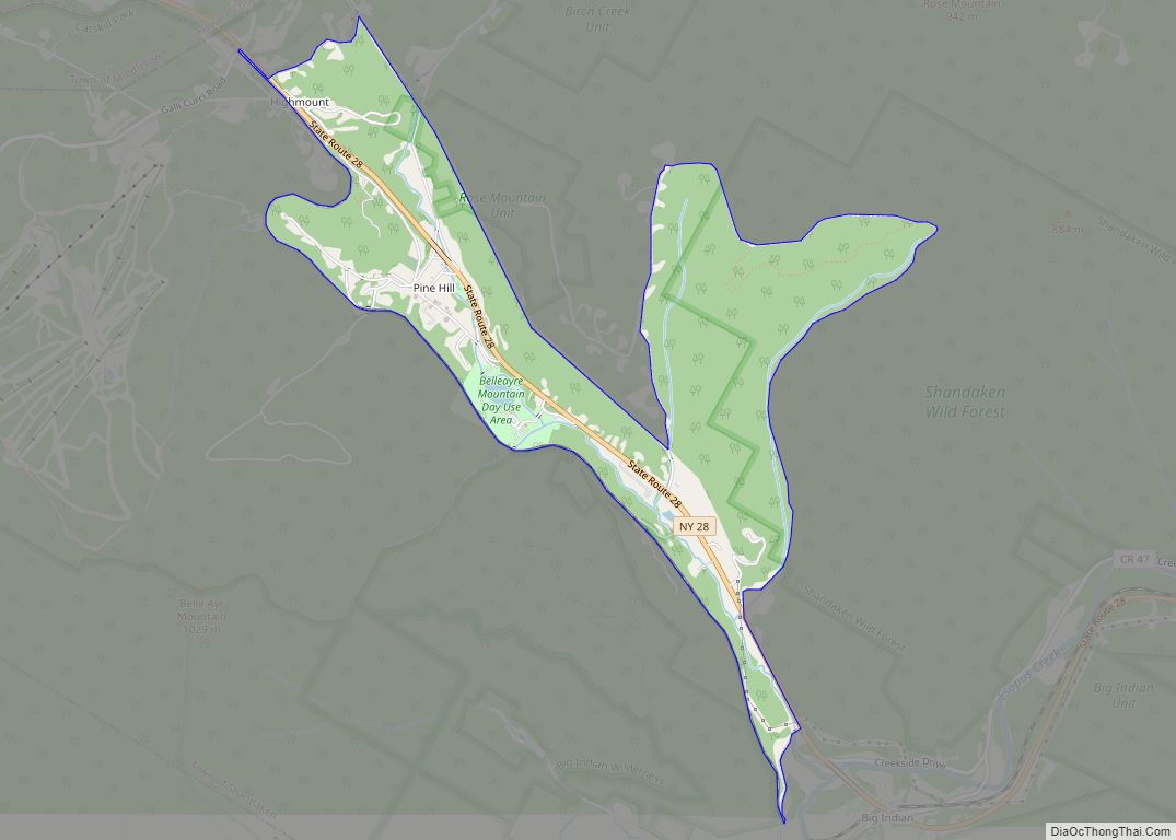 Map of Pine Hill CDP, New York